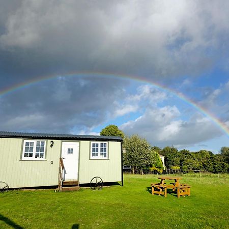 Cwtch Glamping Shepherds Huts أبرجافني المظهر الخارجي الصورة