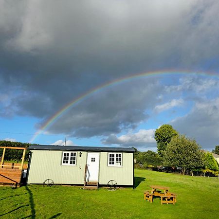 Cwtch Glamping Shepherds Huts أبرجافني المظهر الخارجي الصورة