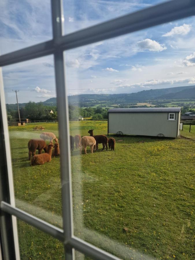 Cwtch Glamping Shepherds Huts أبرجافني المظهر الخارجي الصورة