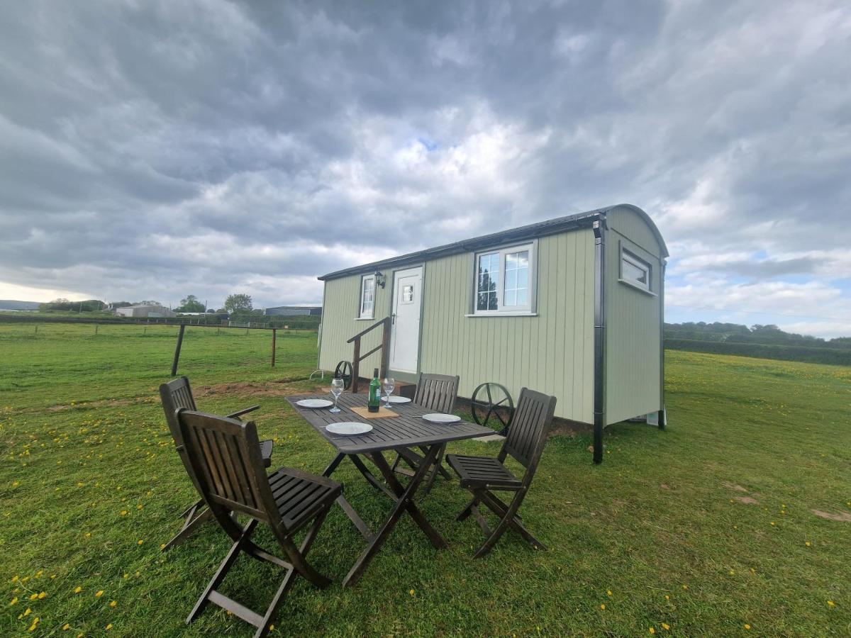 Cwtch Glamping Shepherds Huts أبرجافني المظهر الخارجي الصورة